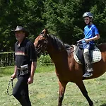 Vakantiehuis Notranjska Hisa - Traditional Country House, Close To The World Attraction Cerknica