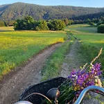 Notranjska Hisa - Traditional Country House, Close To The World Attraction Cerknica *