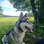 Notranjska Hisa - Traditional Country House, Close To The World Attraction Cerknica Vakantiehuis