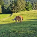 Vakantiehuis Notranjska Hisa - Traditional Country House, Close To The World Attraction Cerknica *