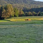 Notranjska Hisa - Traditional Country House, Close To The World Attraction Cerknica Vakantiehuis *