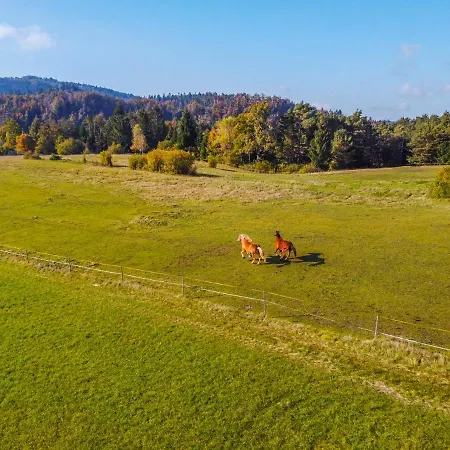 Notranjska Hisa - Traditional Country House, Close To The World Attraction Cerknica * Begunje pri Cerknici