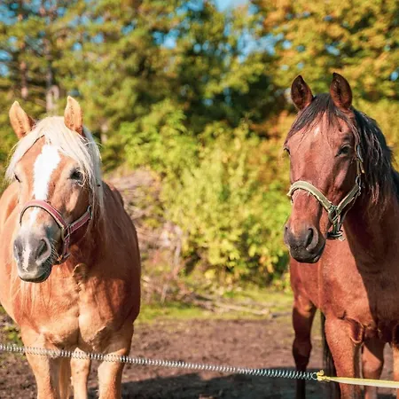 Notranjska Hisa - Traditional Country House, Close To The World Attraction Cerknica * Begunje pri Cerknici