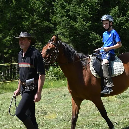 Holiday home Notranjska Hisa - Traditional Country House, Close To The World Attraction Cerknica