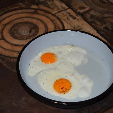 Tatil Evi Notranjska Hisa - Traditional Country House, Close To The World Attraction Cerknica *