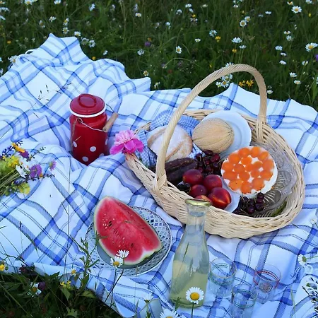 Notranjska Hisa - Traditional Country House, Close To The World Attraction Cerknica 펜션