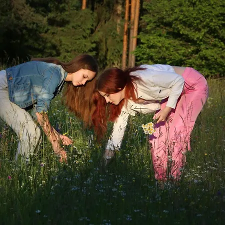 Notranjska Hisa - Traditional Country House, Close To The World Attraction Cerknica Holiday home Begunje pri Cerknici