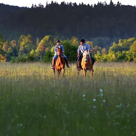 펜션 Notranjska Hisa - Traditional Country House, Close To The World Attraction Cerknica