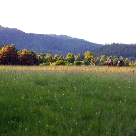 Notranjska Hisa - Traditional Country House, Close To The World Attraction Cerknica * Begunje pri Cerknici