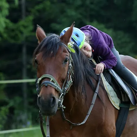 Tatil Evi Notranjska Hisa - Traditional Country House, Close To The World Attraction Cerknica Begunje pri Cerknici