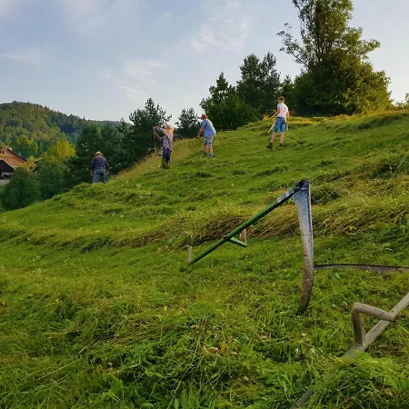 Notranjska Hisa - Traditional Country House, Close To The World Attraction Cerknica Nyaraló Begunje pri Cerknici