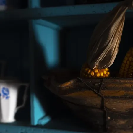 Notranjska Hisa - Traditional Country House, Close To The World Attraction Cerknica *