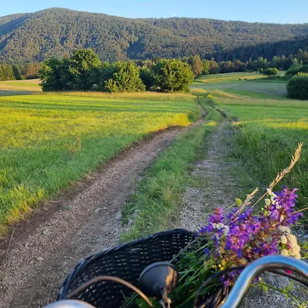 Notranjska Hisa - Traditional Country House, Close To The World Attraction Cerknica *