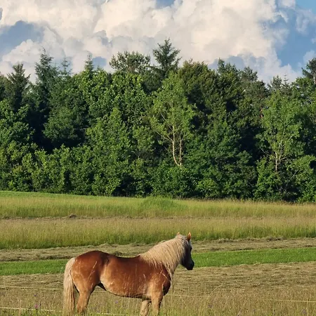 Notranjska Hisa - Traditional Country House, Close To The World Attraction Cerknica
