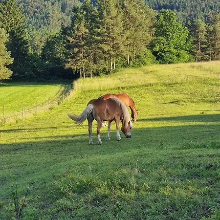 Prázdninový dům Notranjska Hisa - Traditional Country House, Close To The World Attraction Cerknica *