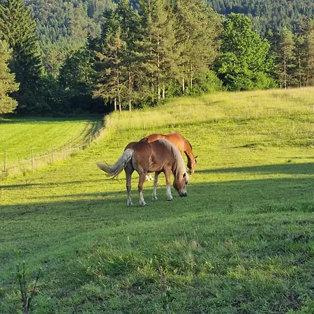 Ferienhaus Notranjska Hisa - Traditional Country House, Close To The World Attraction Cerknica *