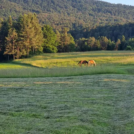 Notranjska Hisa - Traditional Country House, Close To The World Attraction Cerknica Ferienhaus *