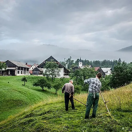 Počitniška hiša Notranjska Hisa - Traditional Country House, Close To The World Attraction Cerknica