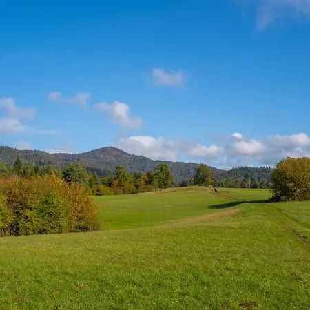 Notranjska Hisa - Traditional Country House, Close To The World Attraction Cerknica 펜션