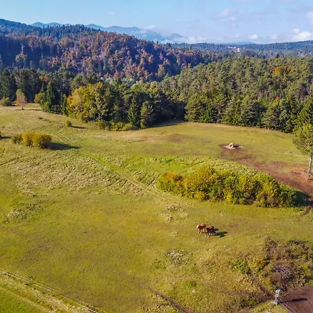 Holiday home Notranjska Hisa - Traditional Country House, Close To The World Attraction Cerknica Begunje pri Cerknici