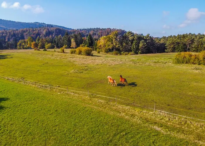 Notranjska Hisa - Traditional Country House, Close To The World Attraction Cerknica * Begunje pri Cerknici