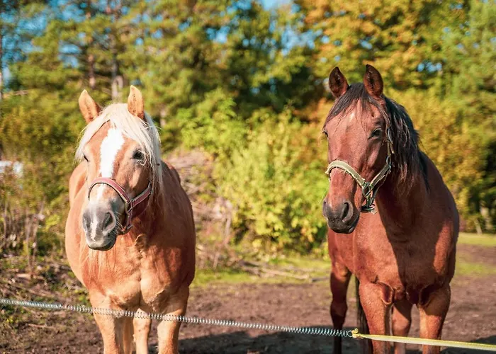 Notranjska Hisa - Traditional Country House, Close To The World Attraction Cerknica * Begunje pri Cerknici