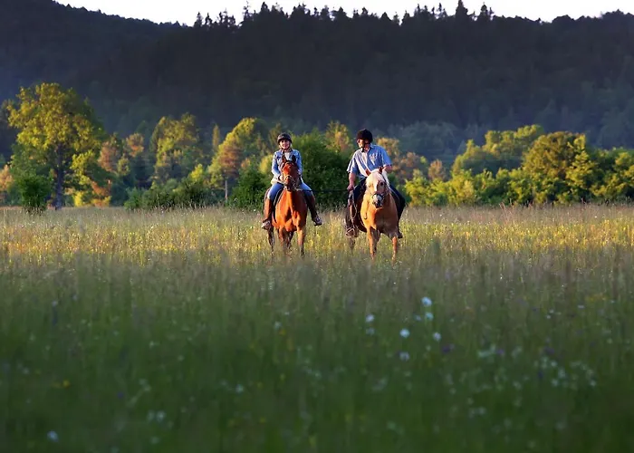 Σπίτι διακοπών Notranjska Hisa - Traditional Country House, Close To The World Attraction Cerknica