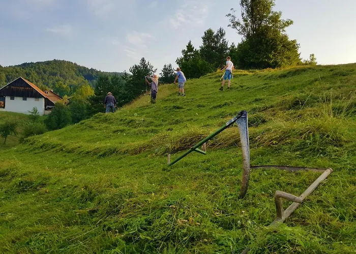 Notranjska Hisa - Traditional Country House, Close To The World Attraction Cerknica Σπίτι διακοπών Begunje pri Cerknici