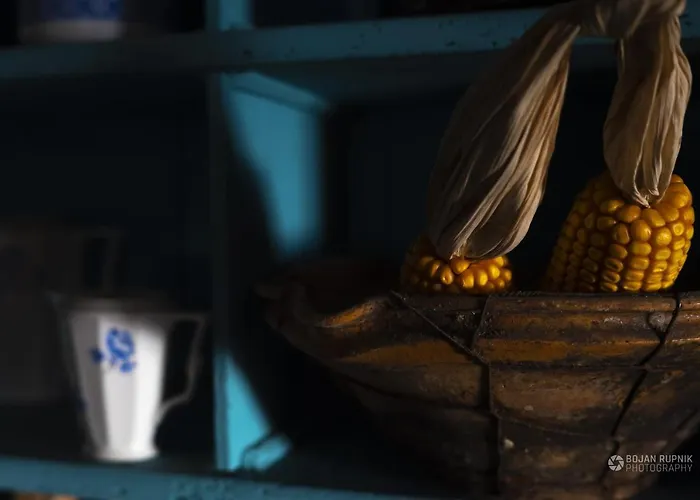 Notranjska Hisa - Traditional Country House, Close To The World Attraction Cerknica *