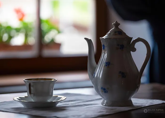 Notranjska Hisa - Traditional Country House, Close To The World Attraction Cerknica *