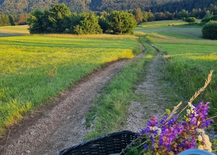 Notranjska Hisa - Traditional Country House, Close To The World Attraction Cerknica *