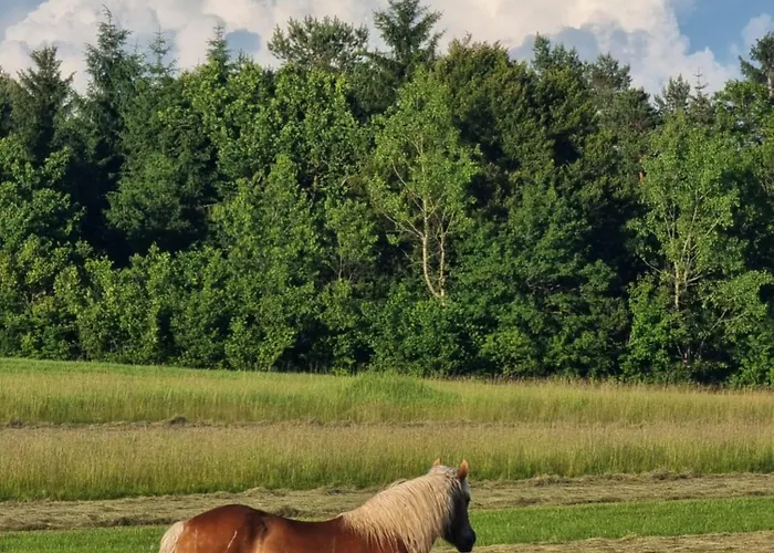 Notranjska Hisa - Traditional Country House, Close To The World Attraction Cerknica