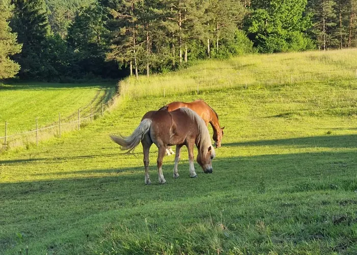 בית נופש Notranjska Hisa - Traditional Country House, Close To The World Attraction Cerknica *