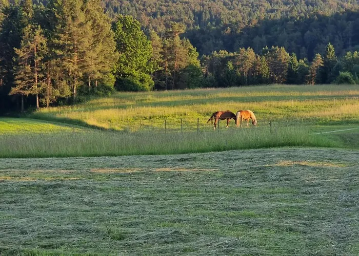 Notranjska Hisa - Traditional Country House, Close To The World Attraction Cerknica Σπίτι διακοπών *